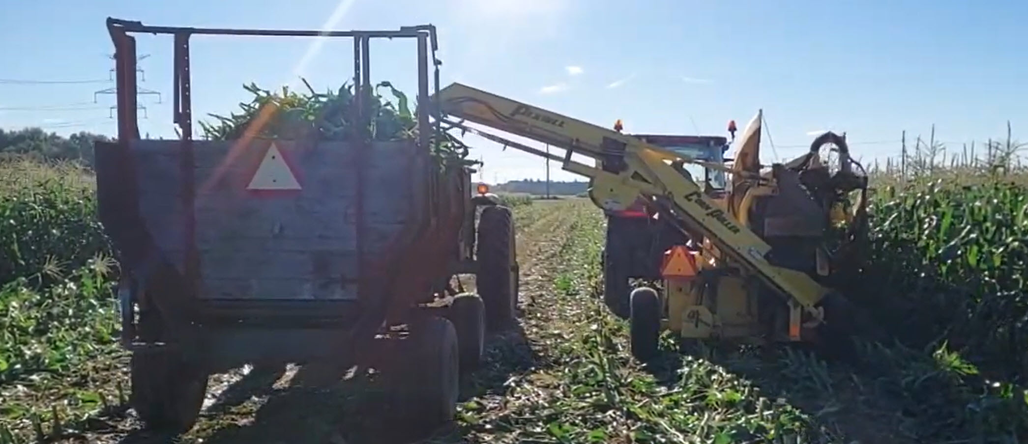 A mechanical harvester in a field.